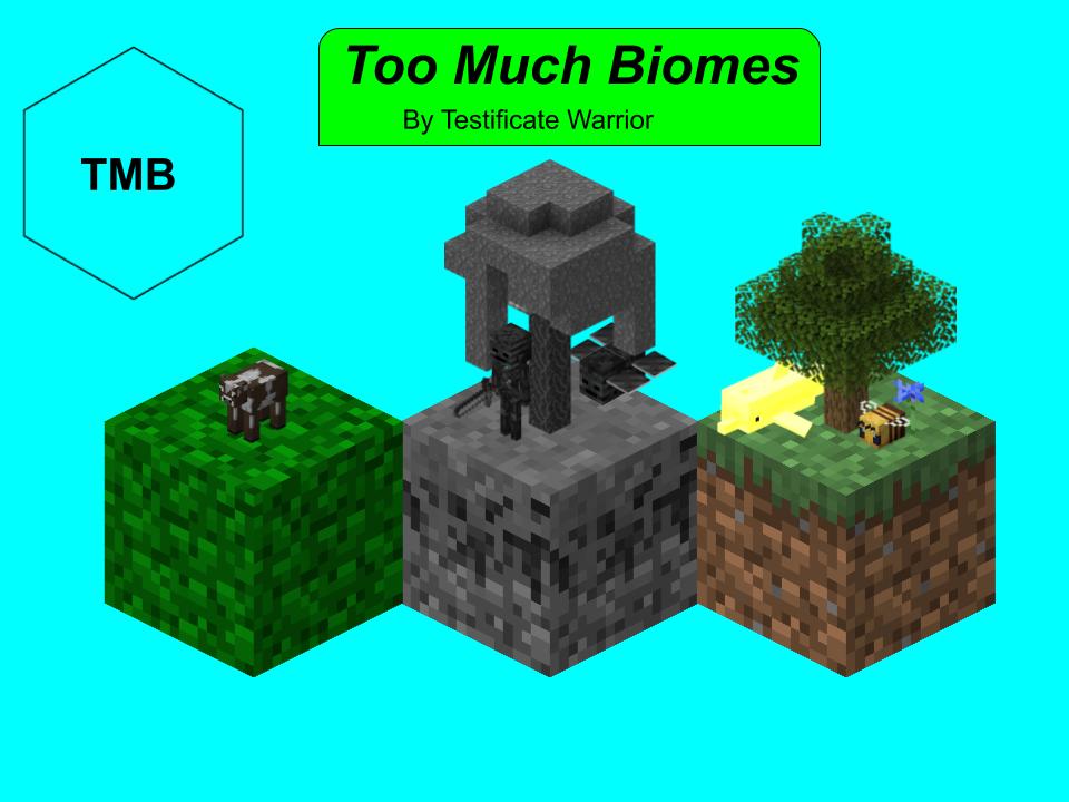 Too Much Biomes | MCreator